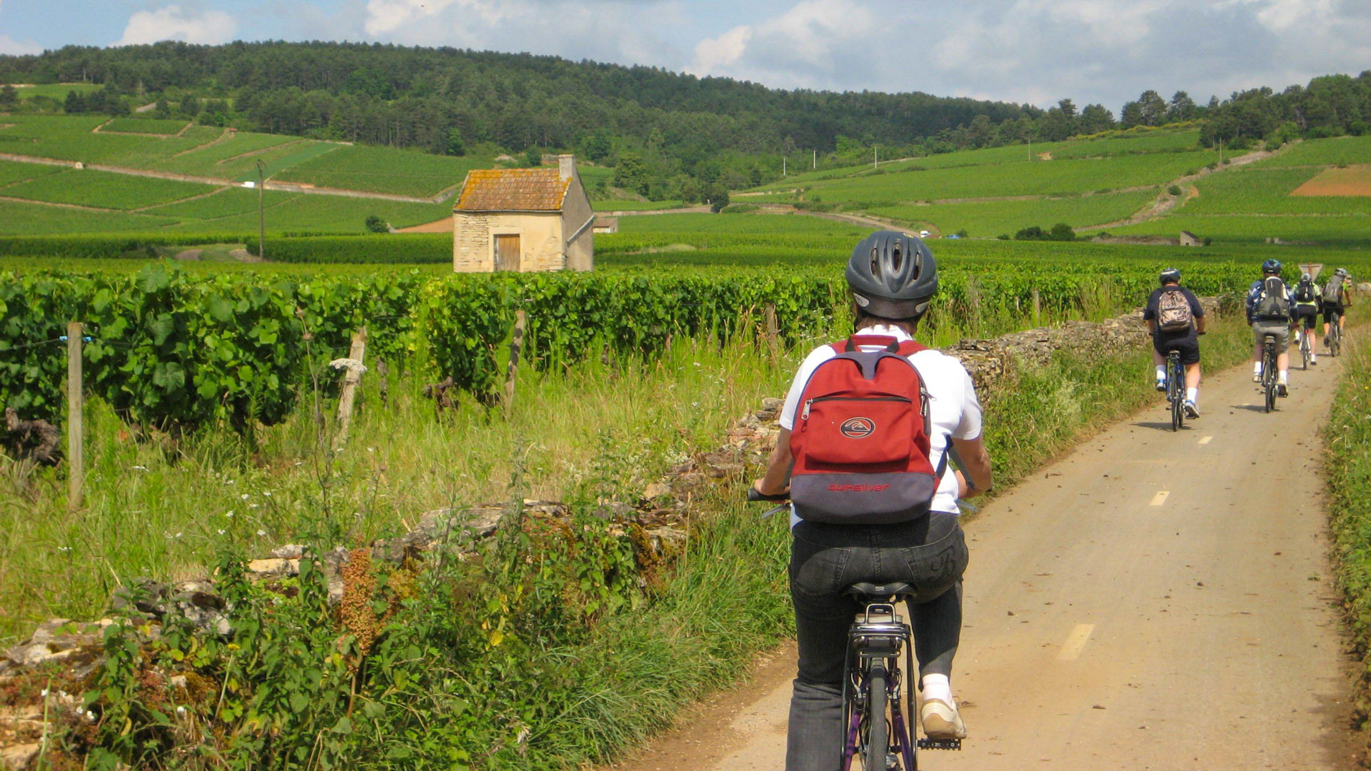 piste cyclable en Bourgogne dans les vignes