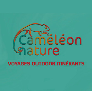 Logo Caméléon Nature