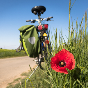 vélo avec sa sacoche sur une petite route de campagne