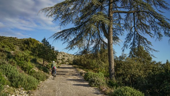 Le Luberon en gravel bikepacking