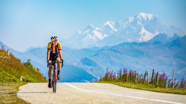 Géants des Alpes