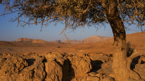 Image : Trans Hajar oriental VTT