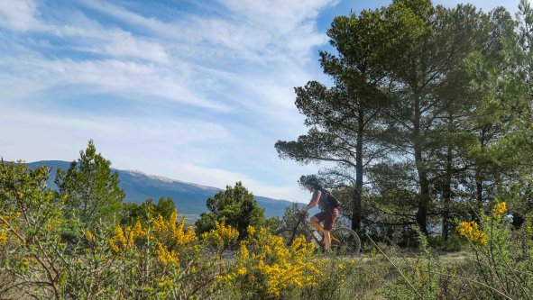 Image : Reco VTT autour du Ventoux