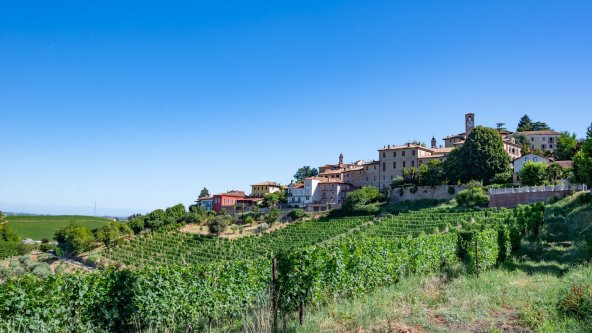 Image : Barolo à vélo !