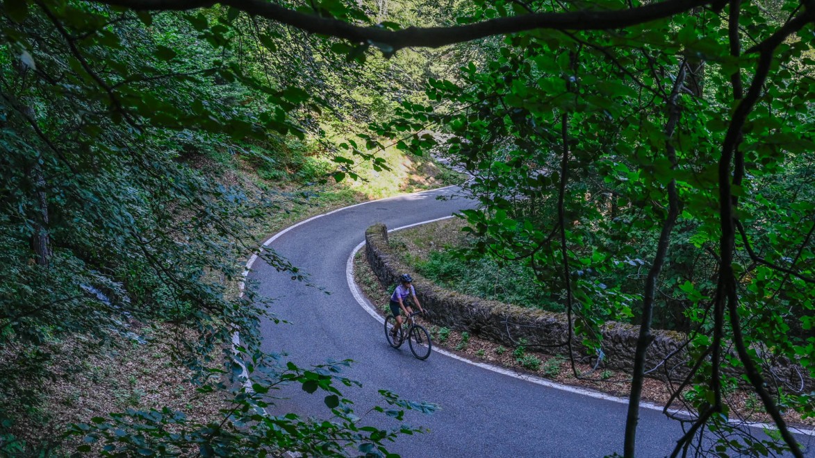 cycliste grimpe un col ombragé dans le Piémont