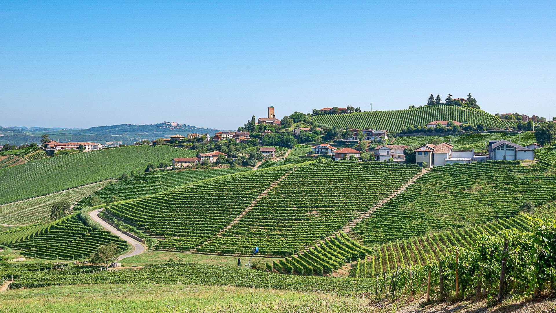 paysage de vignoble dans le Barolo italien