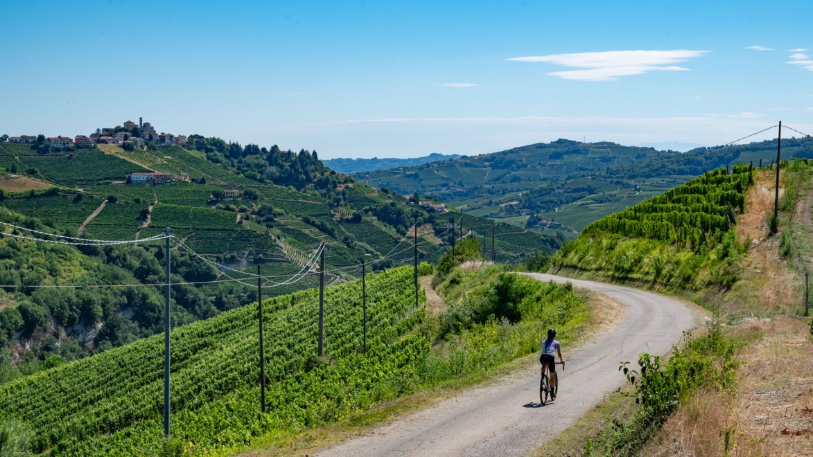 cycliste sur une petite route entourée de collines recouvertes de vignobles typiques des Langhe