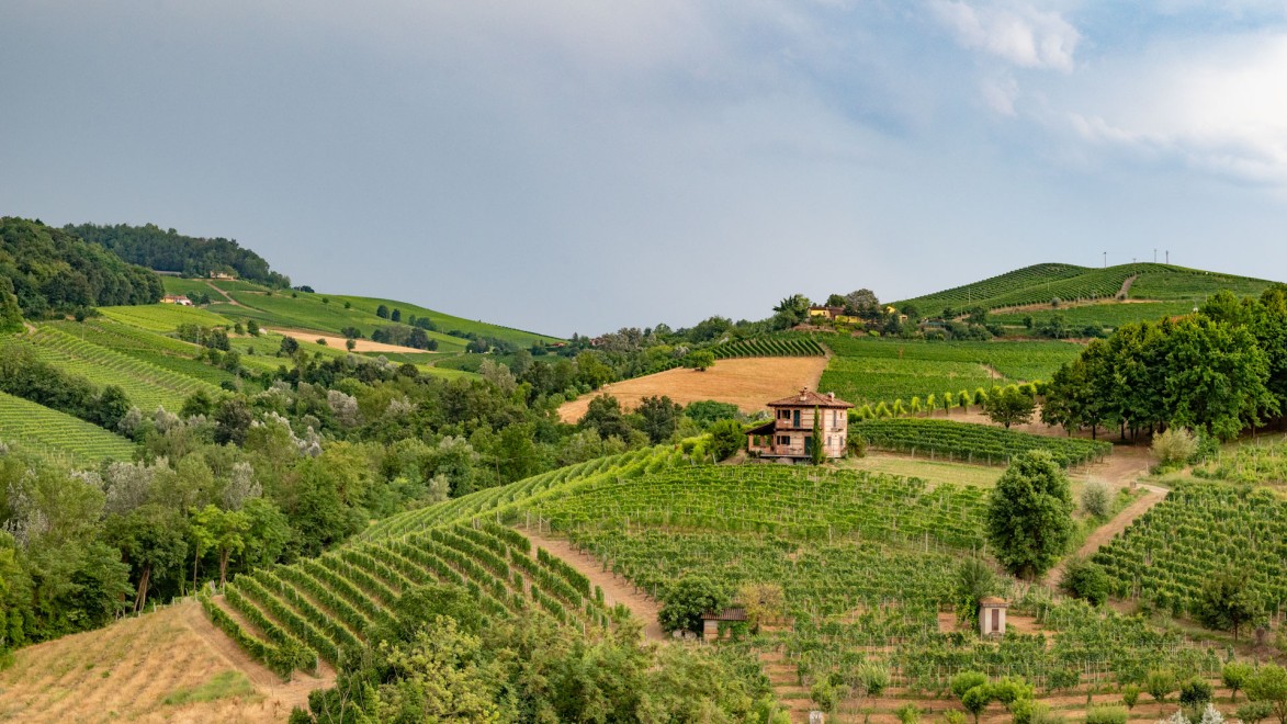 vue sur les collines recouvertes de vignes dans la région du Barolo