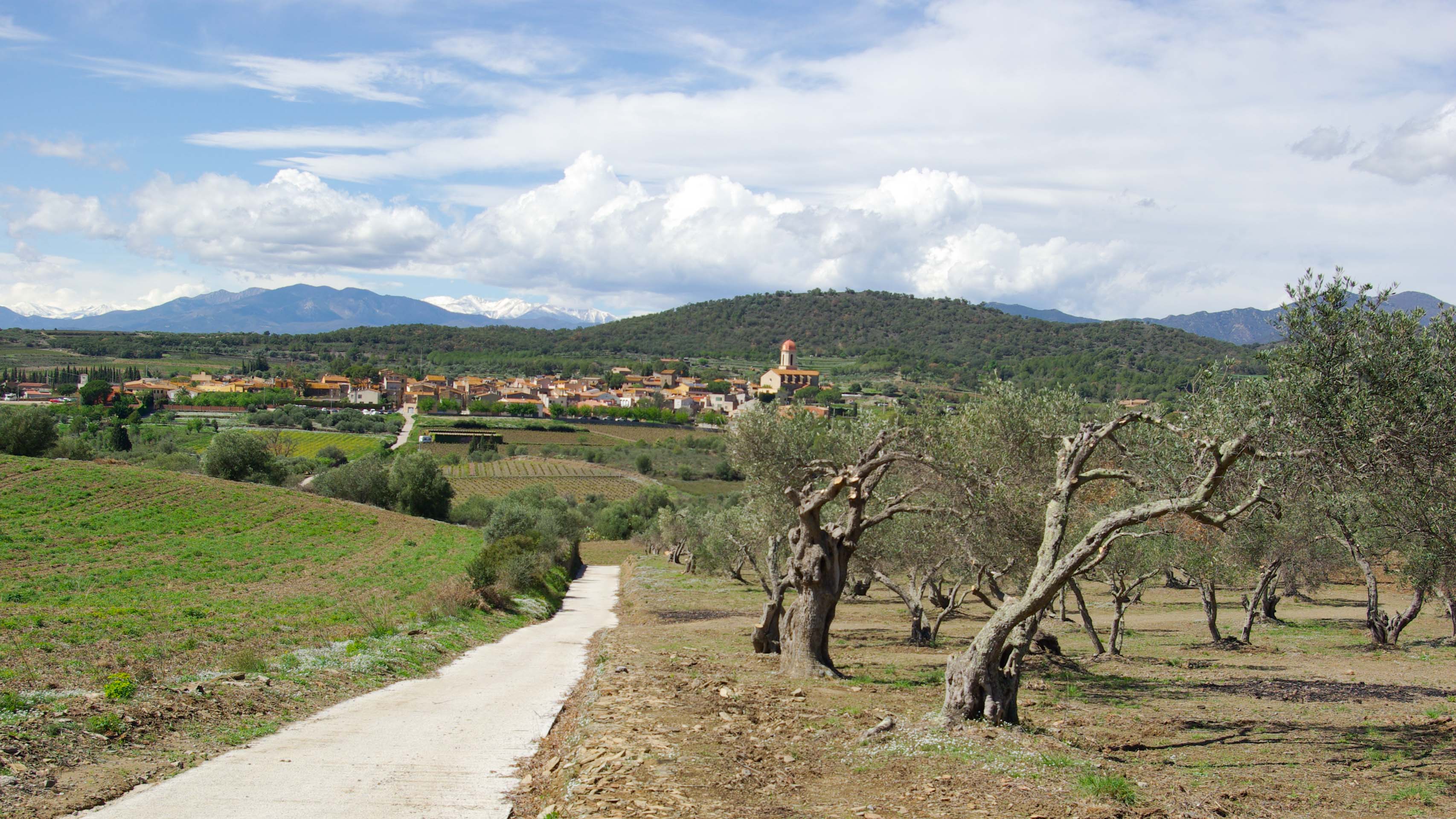 petite route menant à un petit village catalan avec les Pyrénées en fond