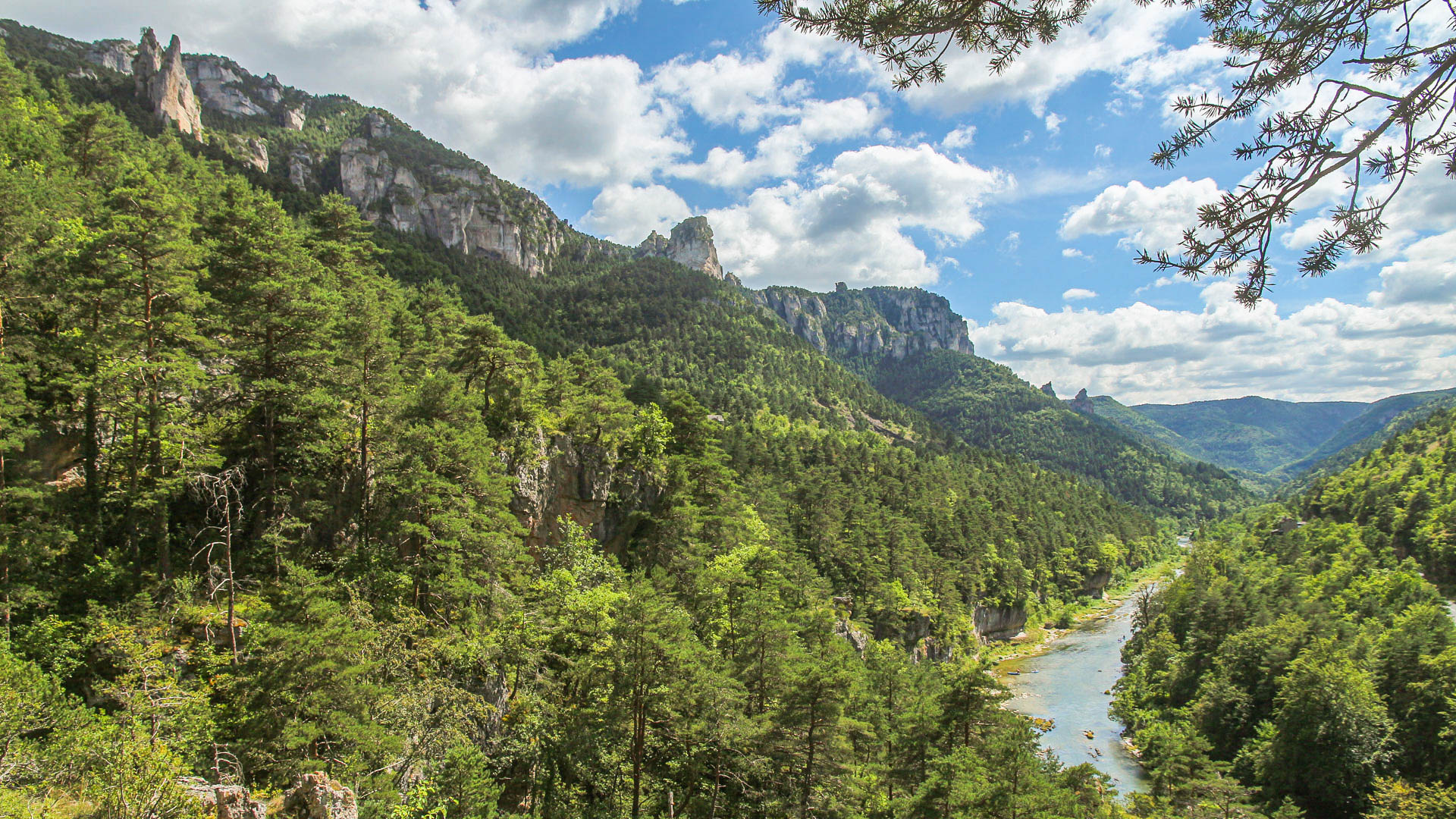 vue sur les gorges du Tarn