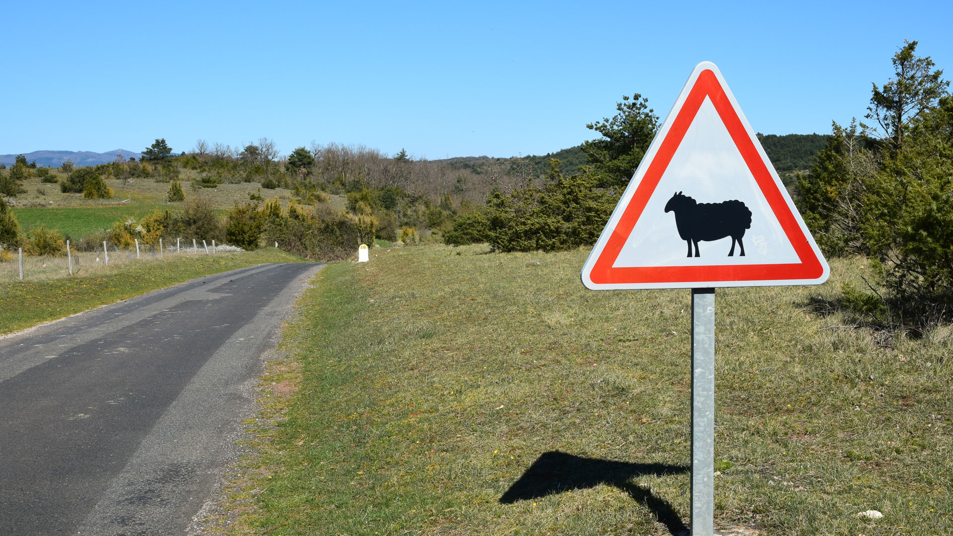 petite route peu fréquentée, idéale en gravel dans le Larzac