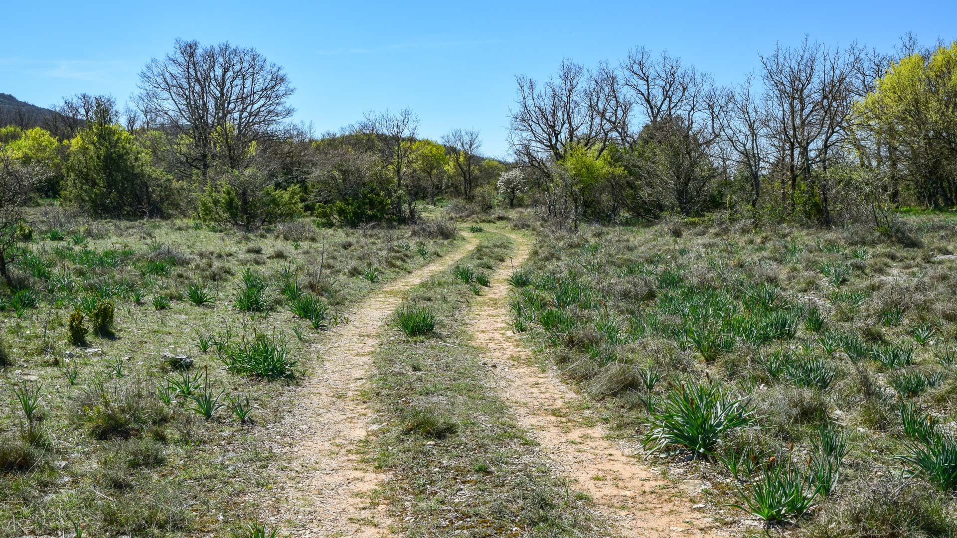 piste gravel au coeur de la vallée du Coulet sur le Causse du Larzac
