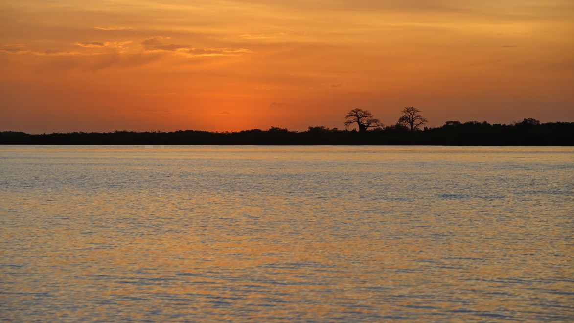 fleuve Casamance au Sénégal lors du coucher de soleil