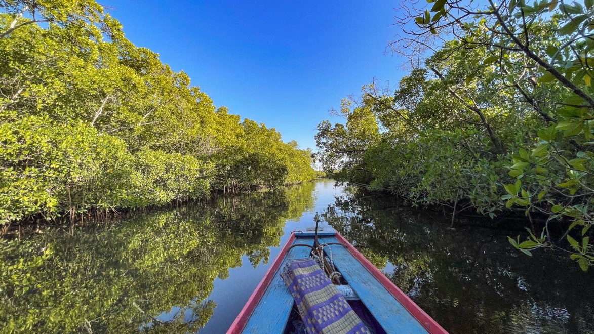 Pirogue dans les mangroves de Casamance au Sénégal