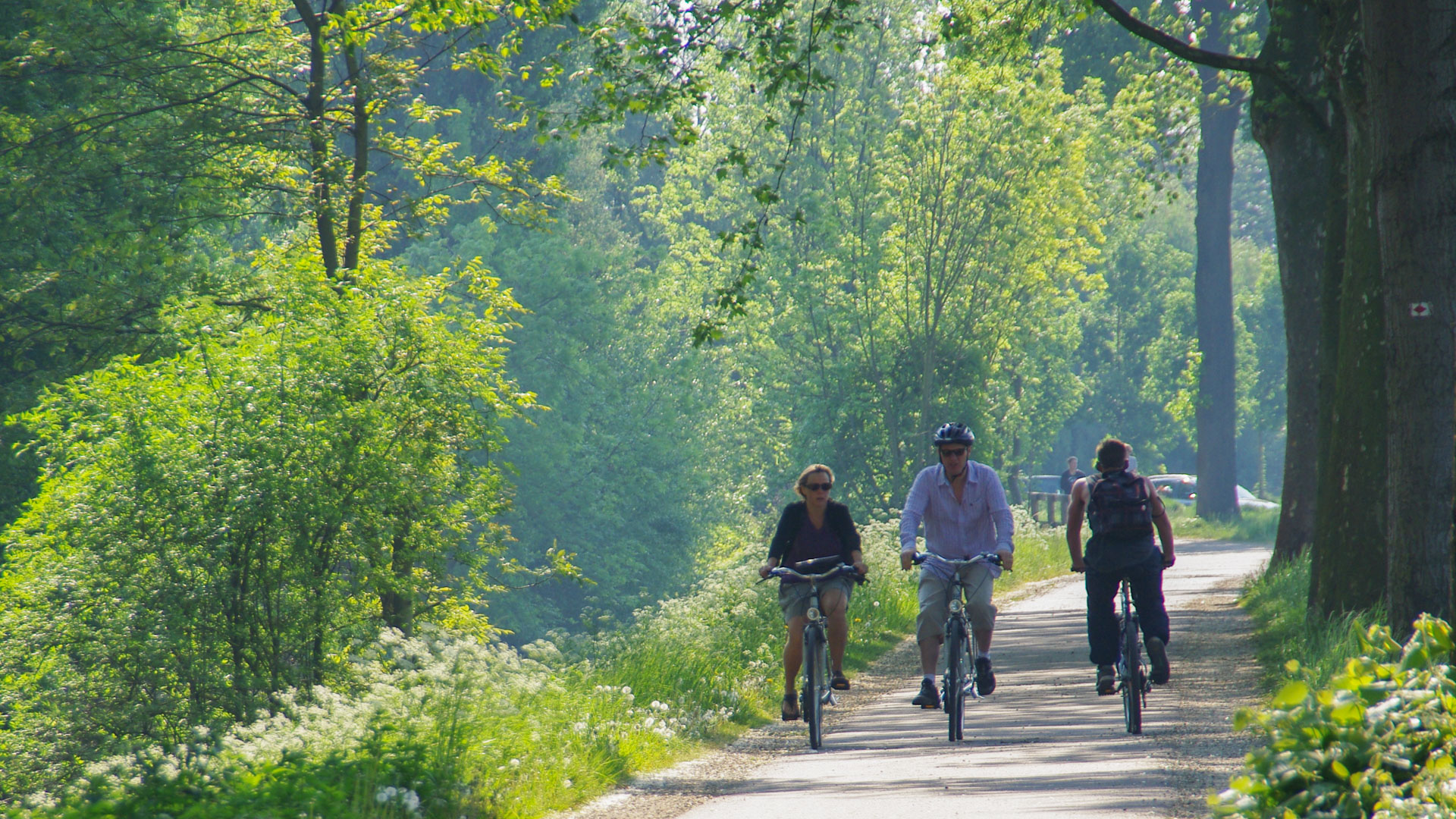 une belle voie verte dans la région de Colmar