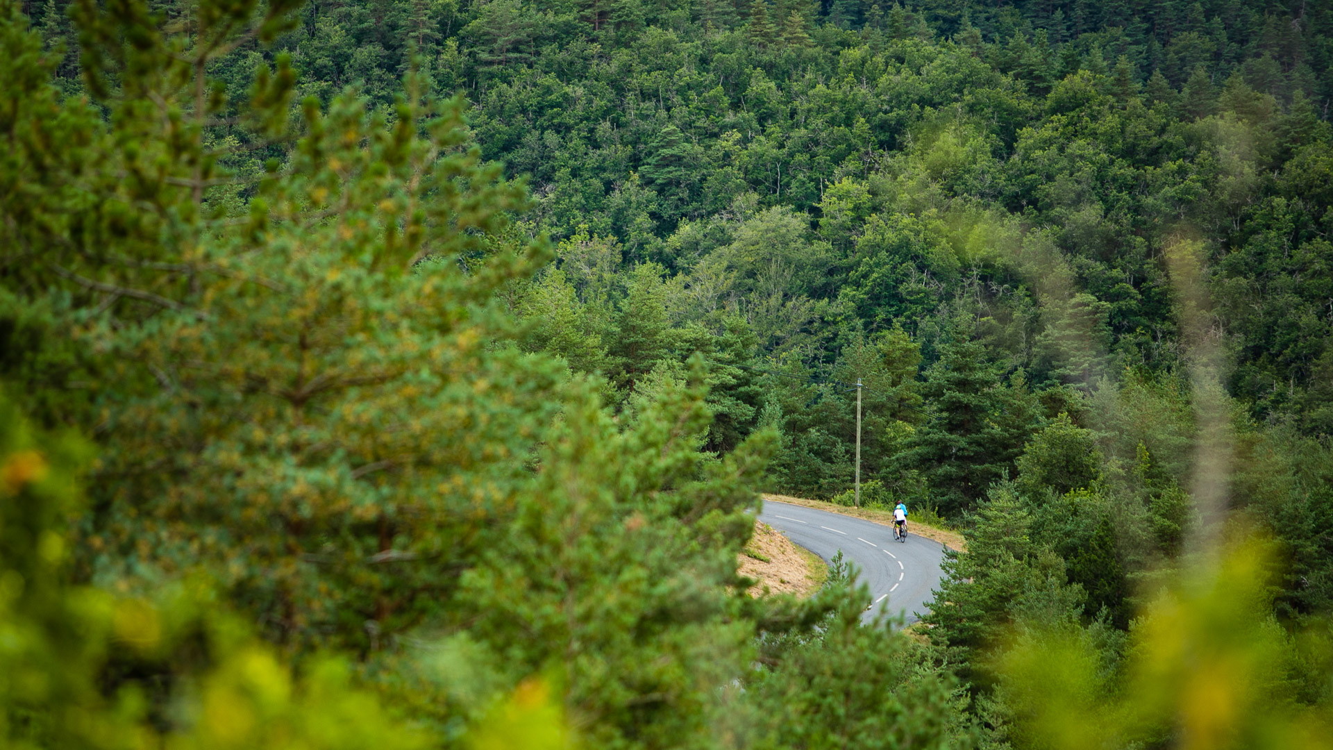 deux cyclistes qui montent un col, entourés de forêt