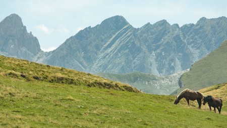 Image : Pyrénées : Grande Traversée des Pyrénées françaises