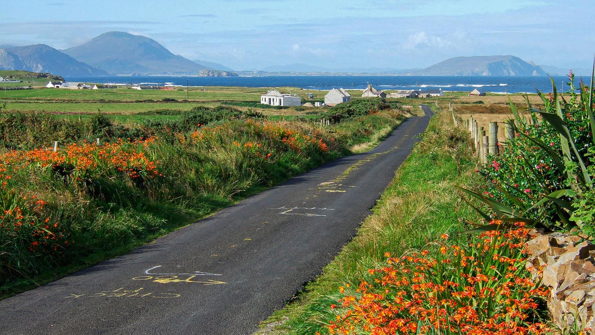 petite route avec avec quelques cottages irlandais, avec vue sur la mer