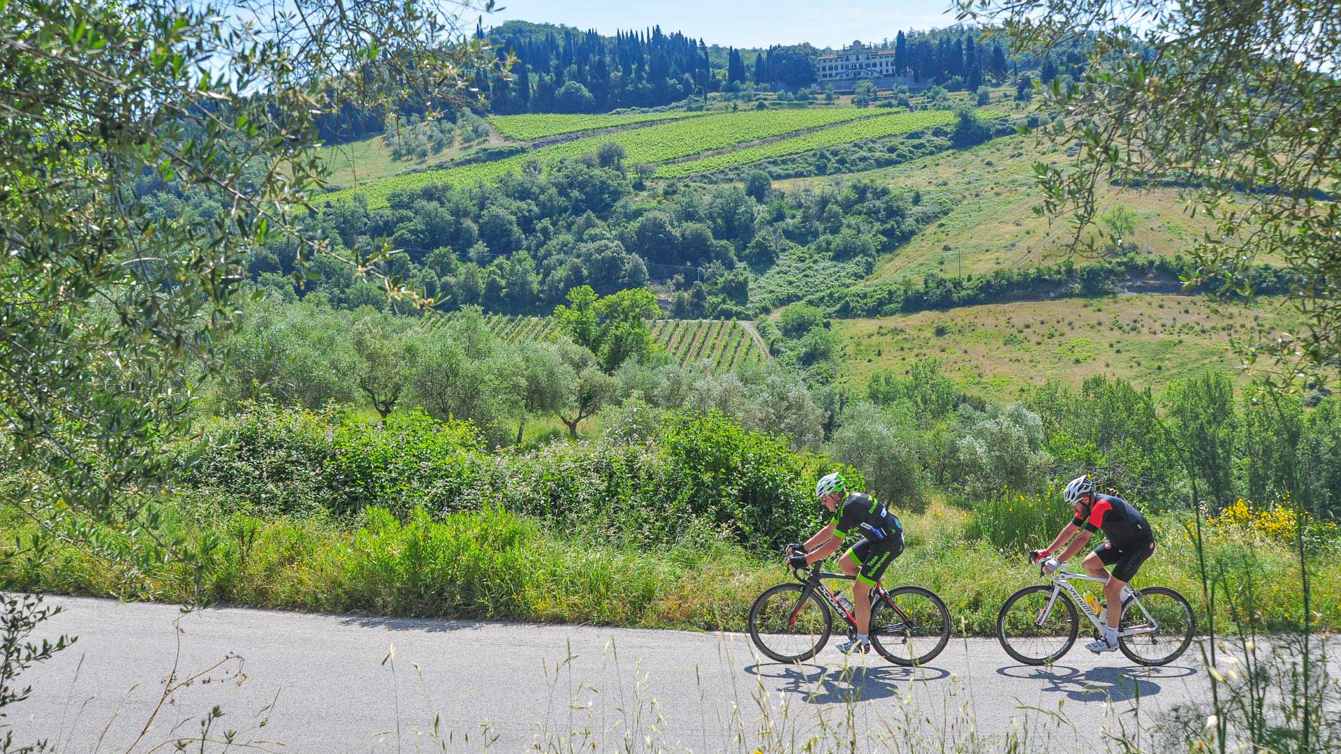 deux cyclistes sur une route sauvage traversant la verdure