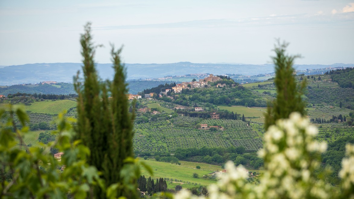 paysage rural de la Toscane avec un village en fond