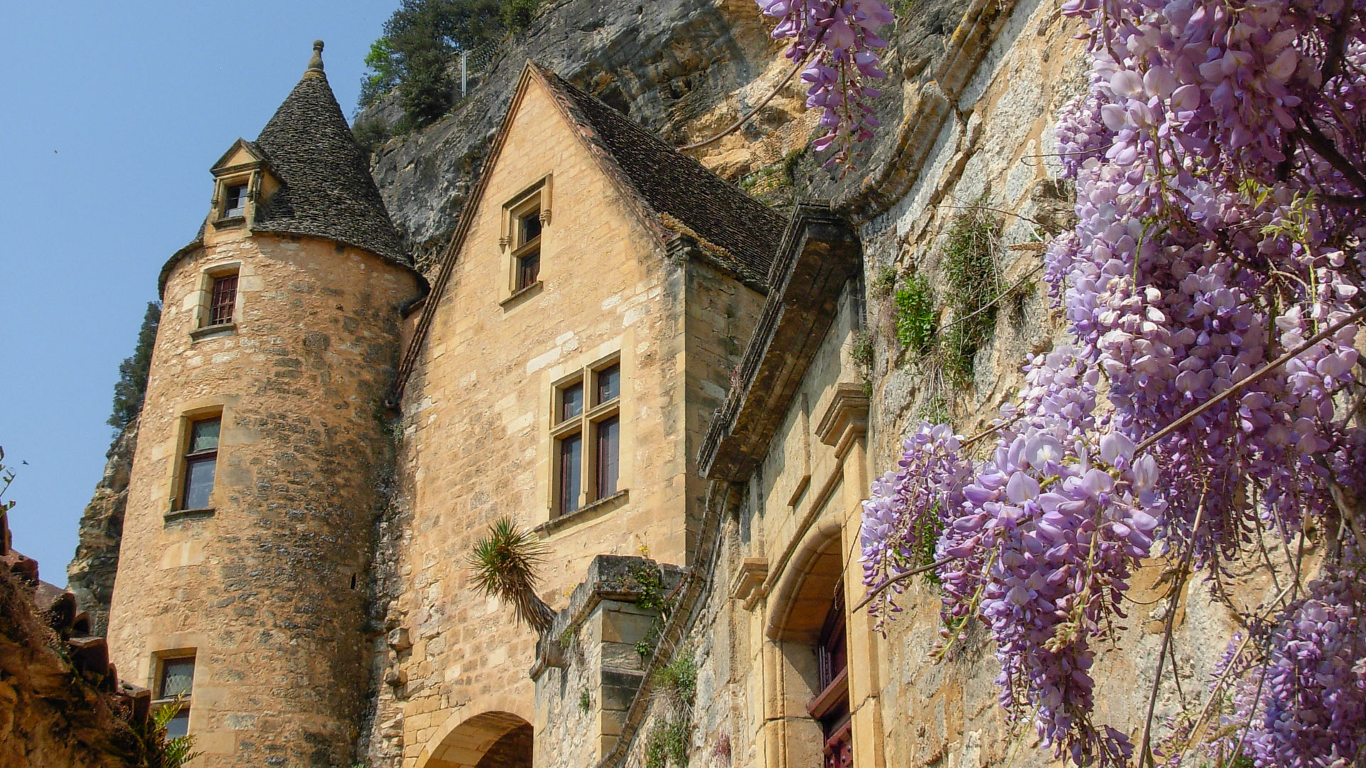 bâtisse médiévale et sa glycine dans le Périgord