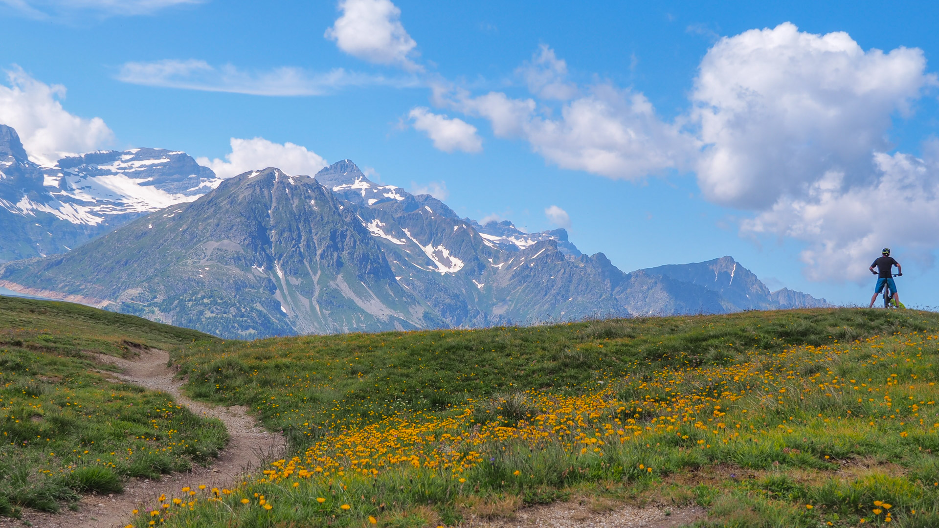 entre chamonix et Zermatt, un VTT savoure le panorama sur les Alpes