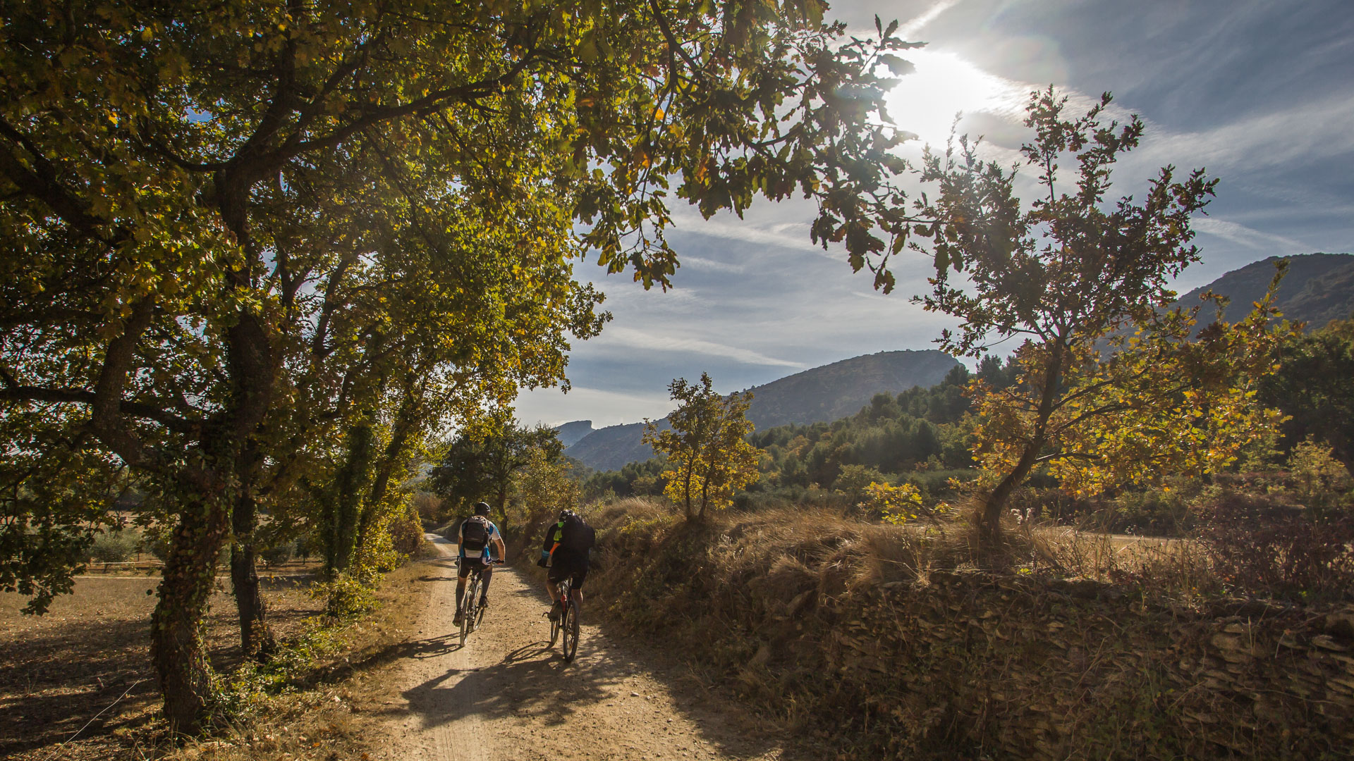 à vélo sur les pistes du Luberon en Provence