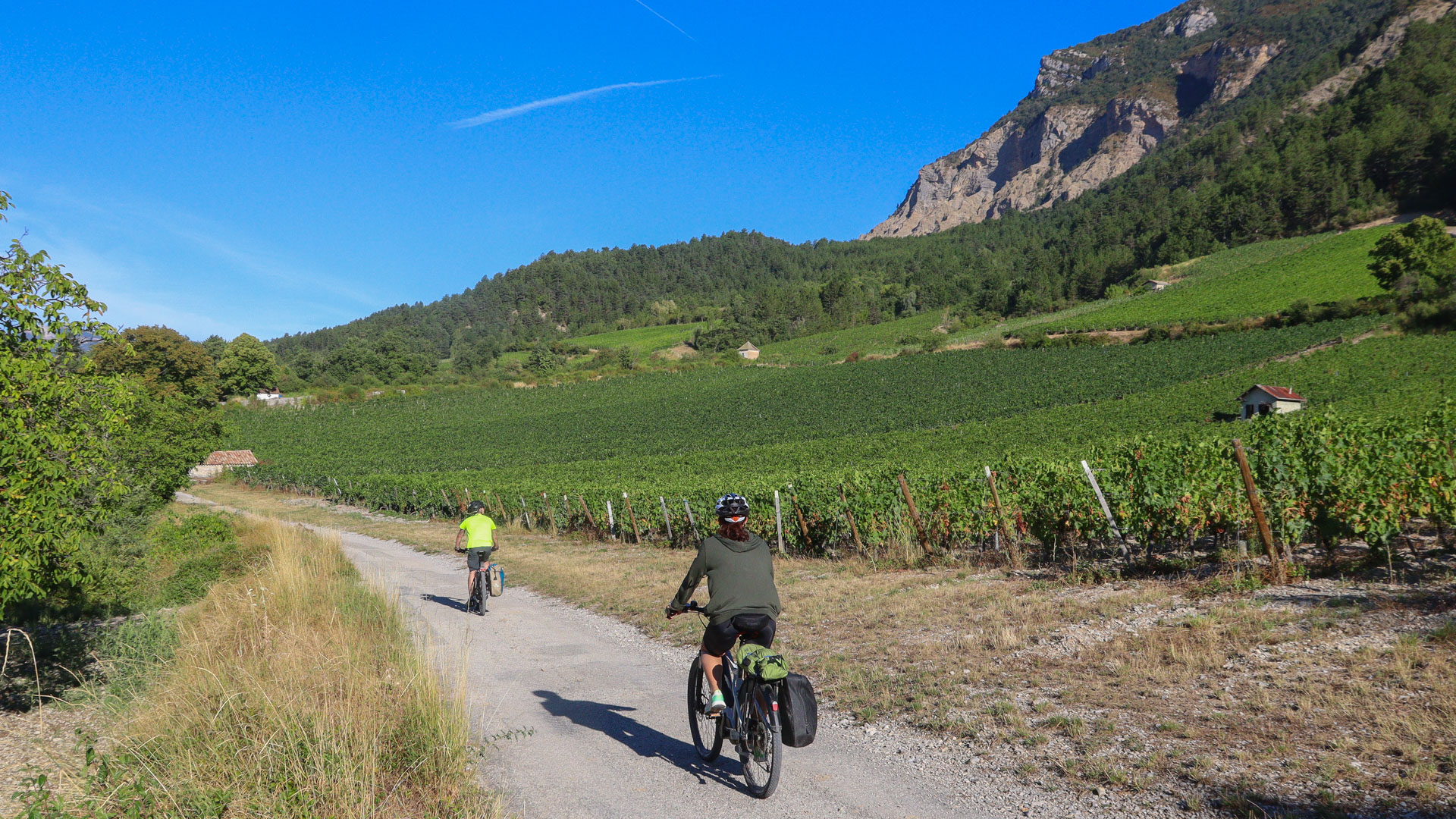 vélos dans les vignes près de Châtillon en Diois