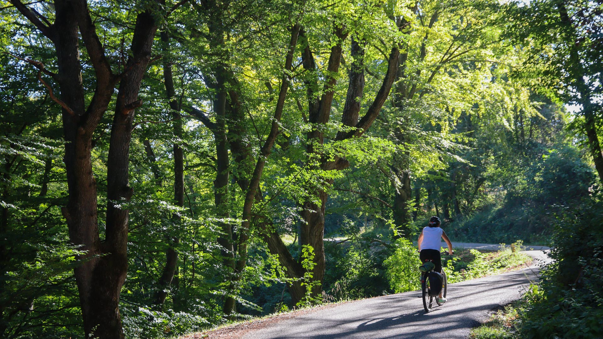 une cycliste emprunte une route ombragée