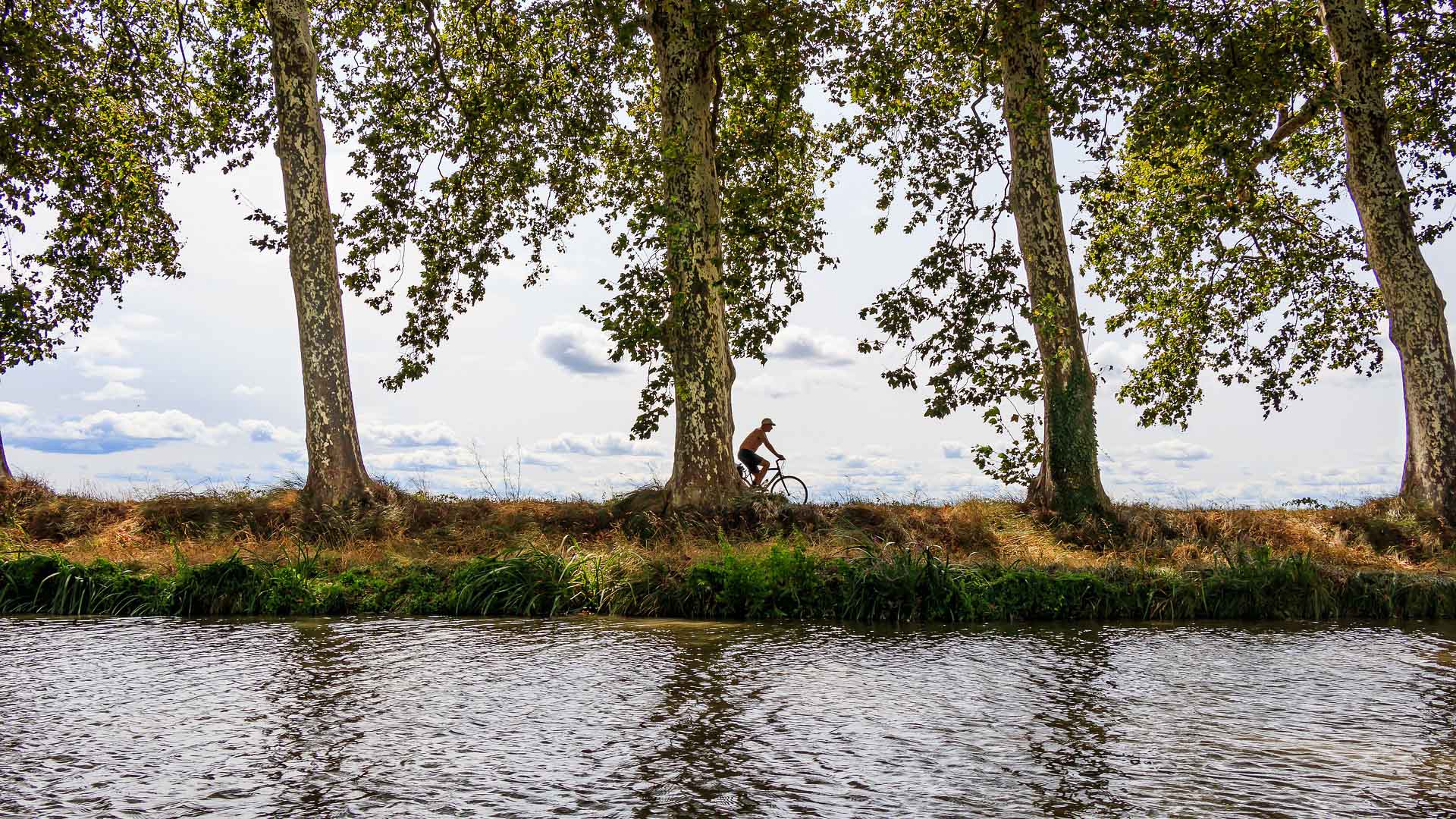 vélo sur le célèbre Canal du midi entre Toulouse et Sète