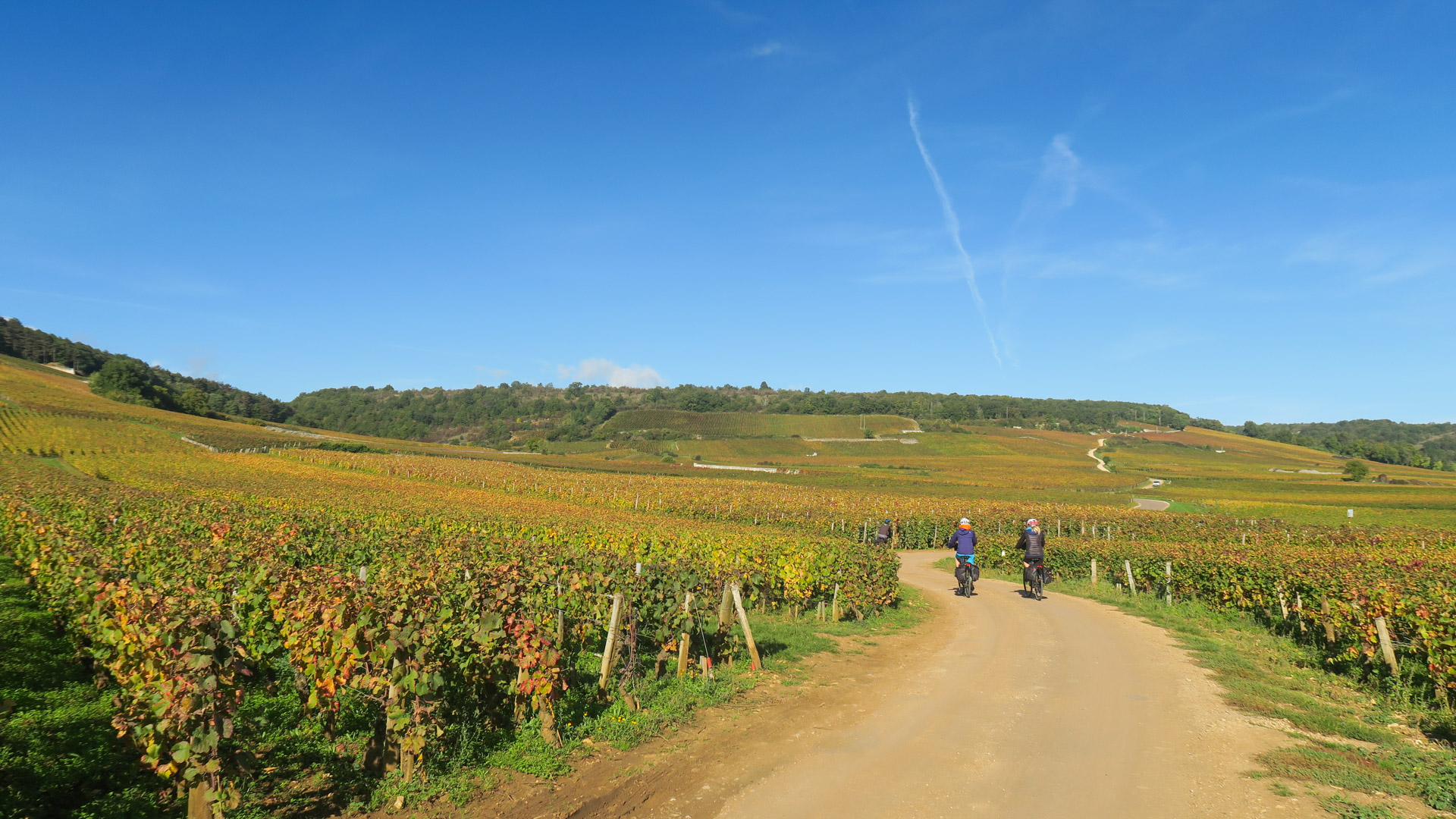 en Bourgogne, belle petite route cyclables dans les vignes