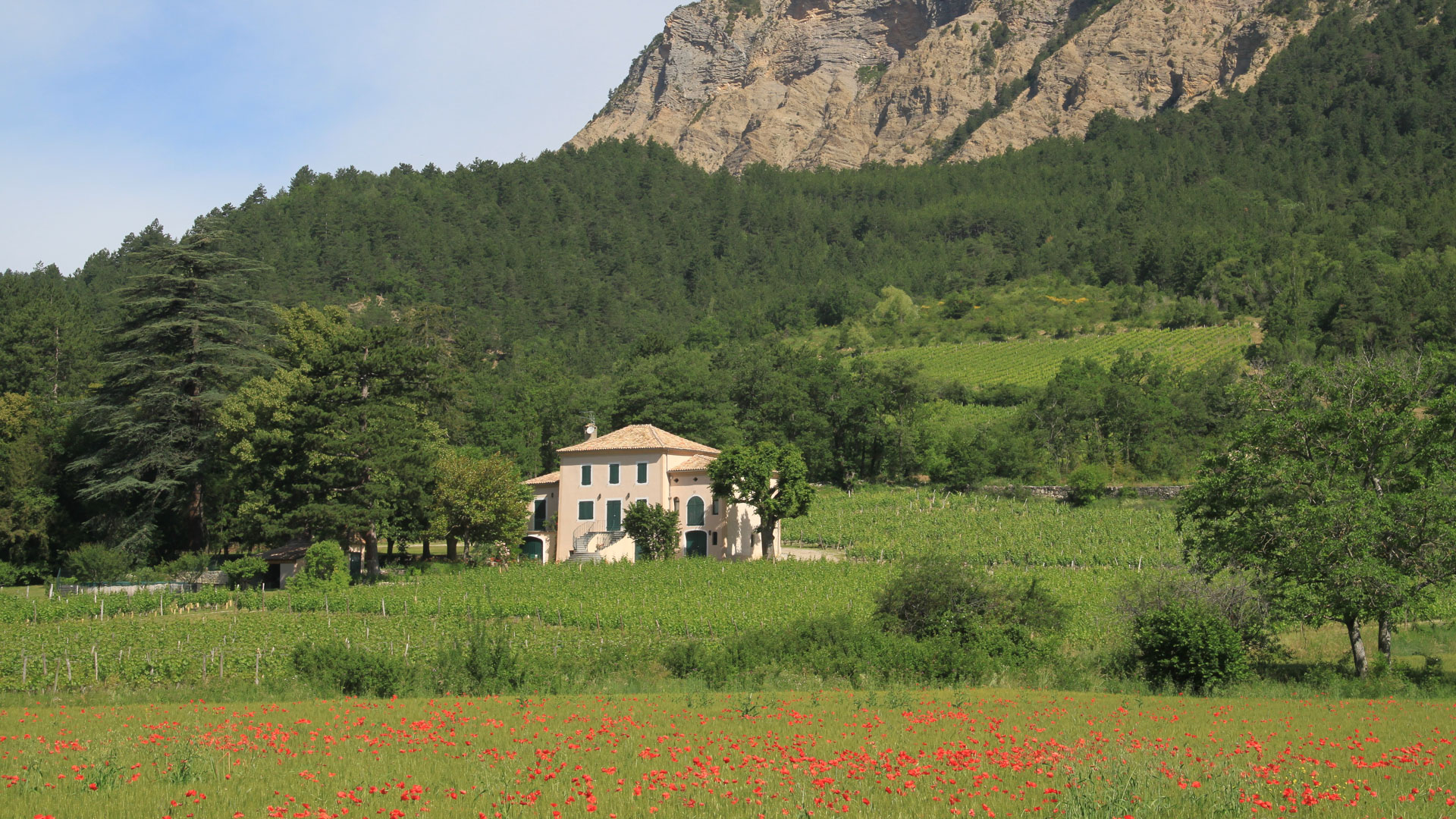 Parcours vélo dans la Drôme dans le vignoble du Diois