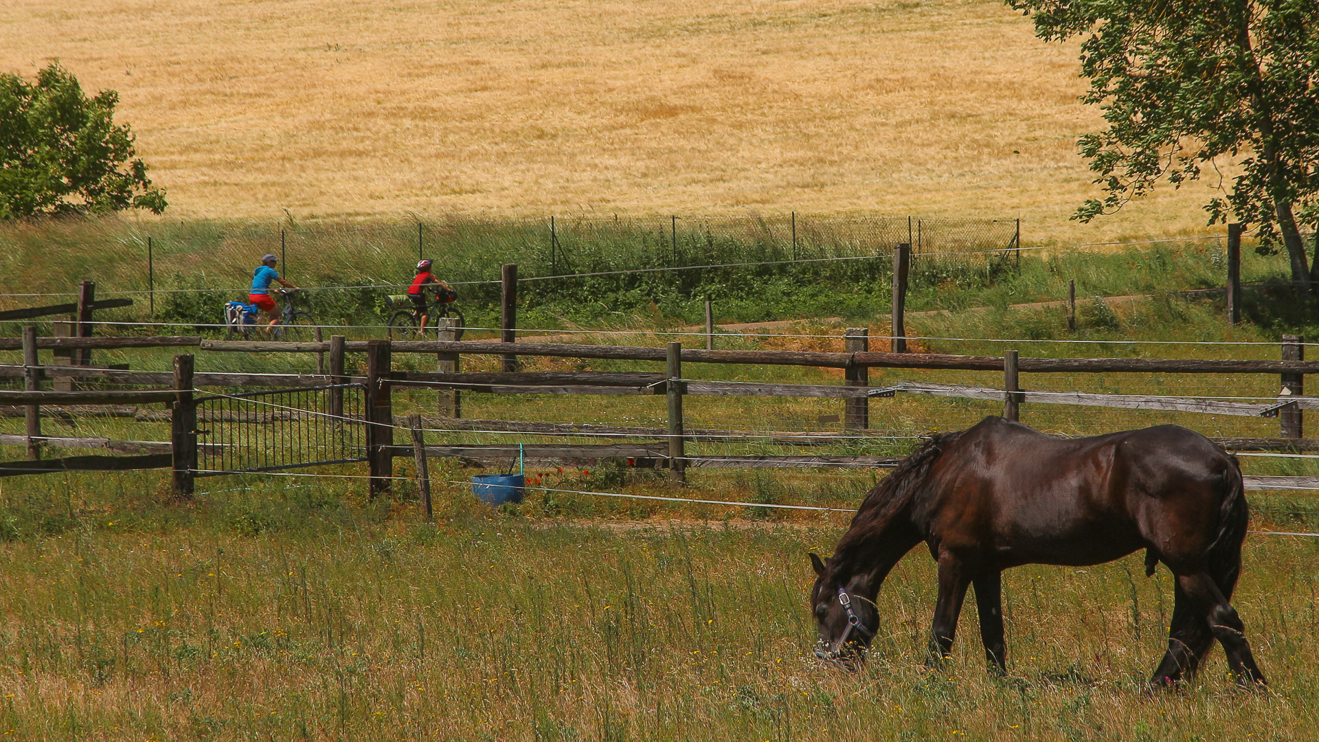 vélo avec enfant dans la belle campagne de Loire