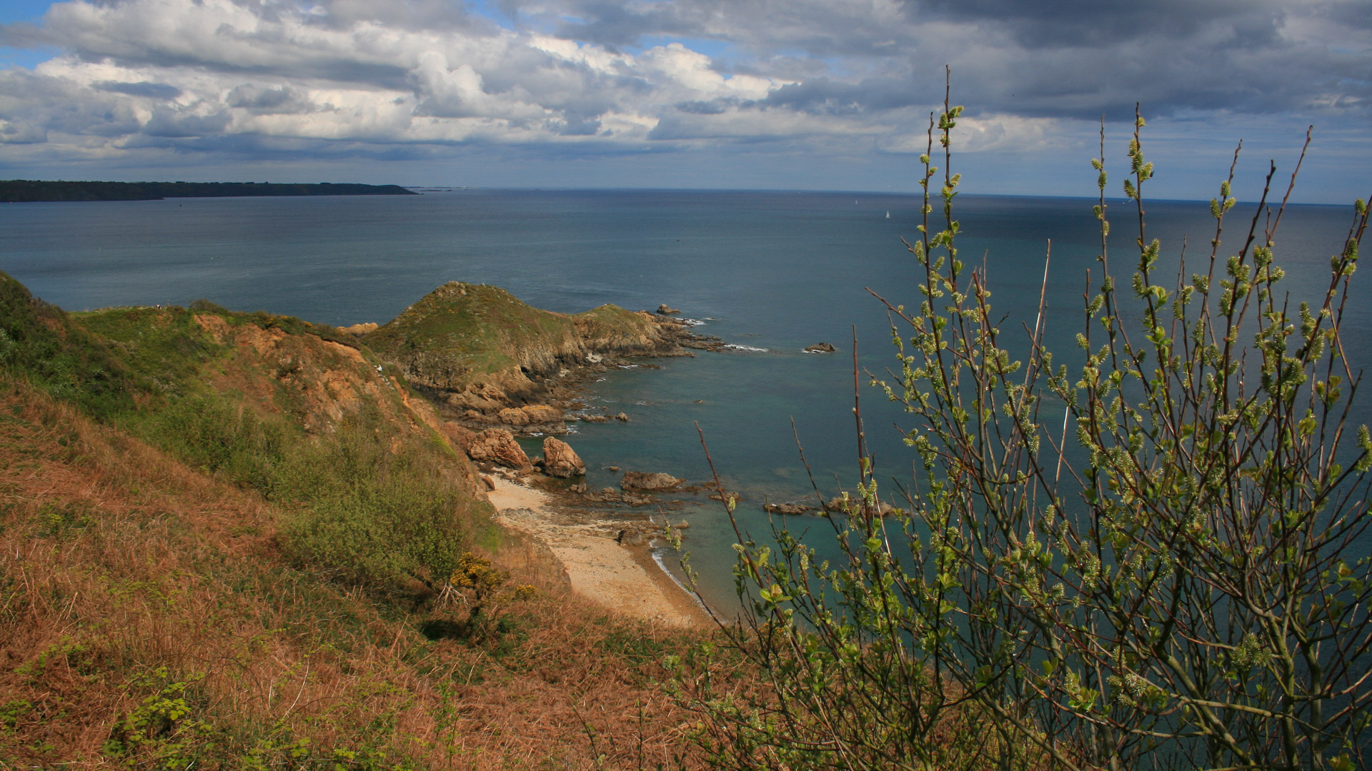 vue sur la mer depuis le sentier des falaises de Plouha
