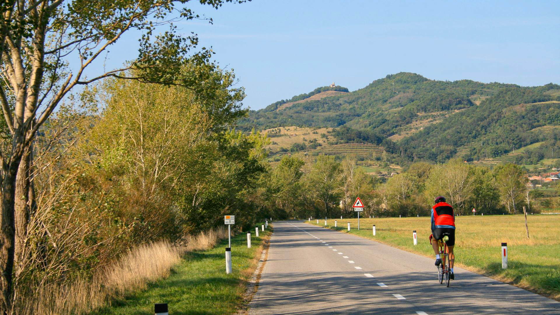 cycliste de dos sur un route qui traverse les collines slovènes
