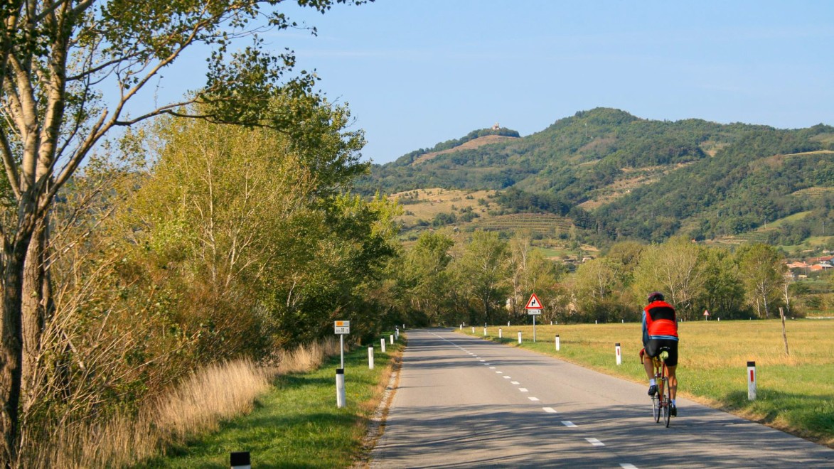 cycliste de dos sur un route qui traverse les collines slovènes