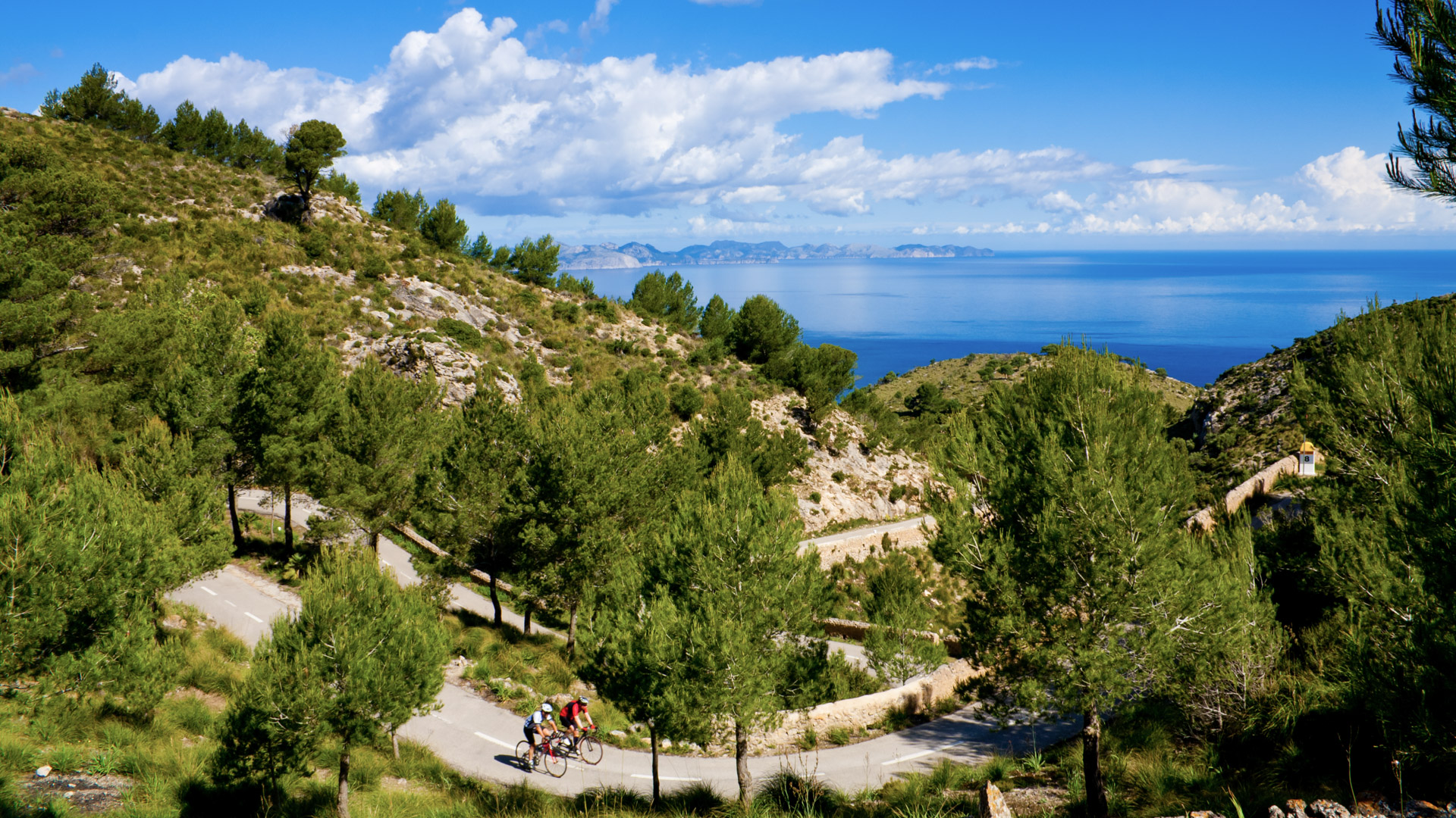 des cyclistes qui roulent à l'ombre de la pinède sur une route côtière de Majorque