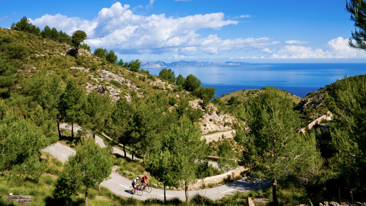 des cyclistes qui roulent à l'ombre de la pinède sur une route côtière de Majorque