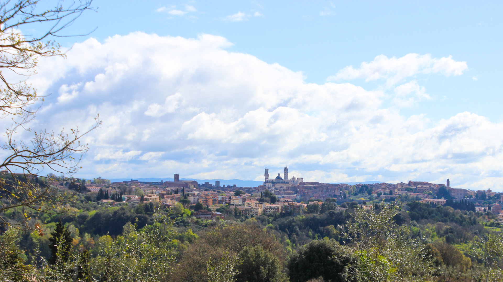 Vue de la ville de Sienne depuis l'Ouest