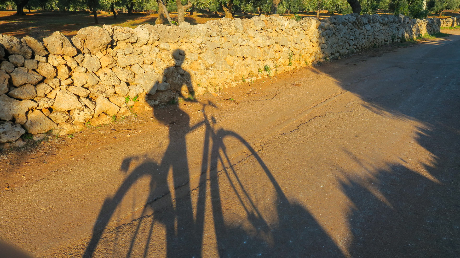 ombre d'une cycliste sur un mur de pierre sèche sur une piste en Italie du sud