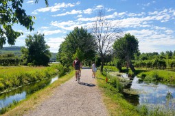 DU LAC DE GARDE A VENISE