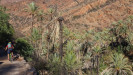 Maroc : De l'Atlas à la vallée du Drâa