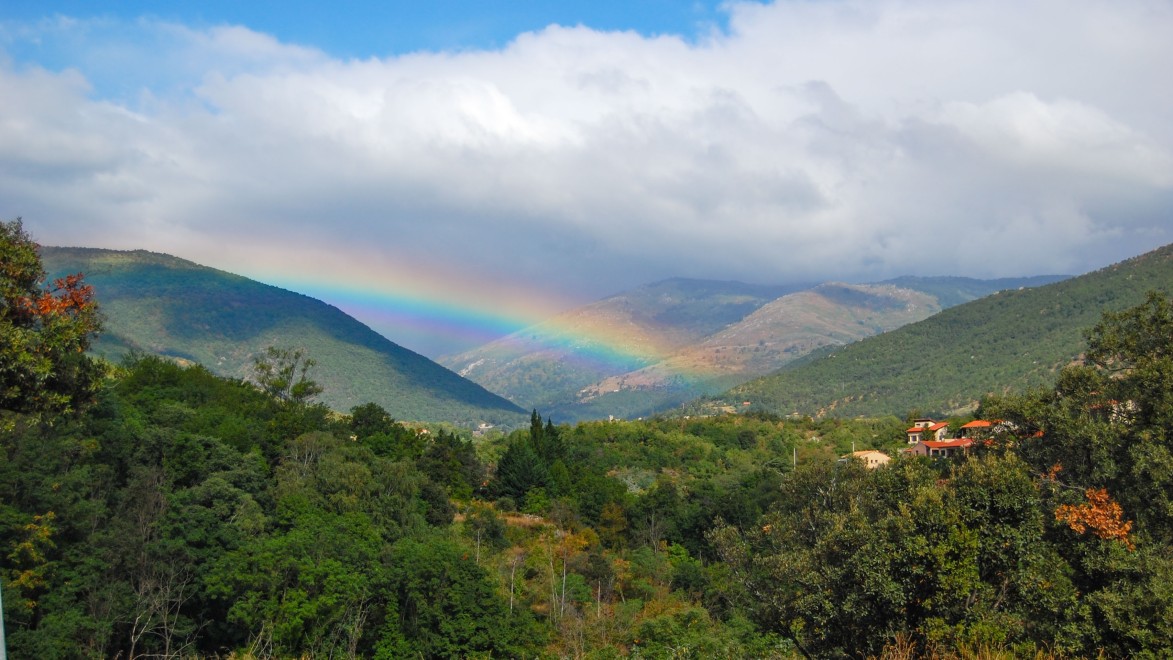 arc-en-ciel au-dessus des petits vallons de forêt