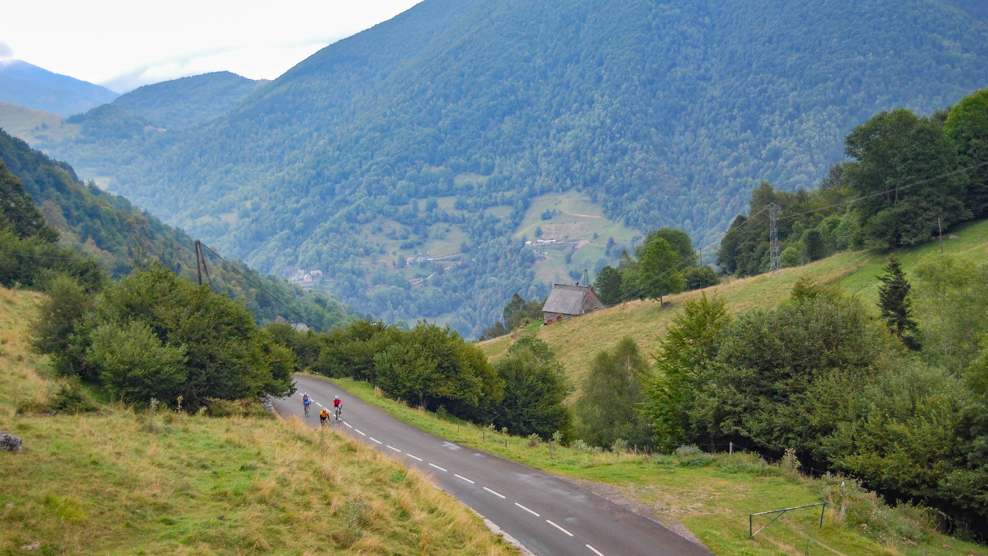 un groupe de cyclistes sur une route en pleine campagne, à travers forêt et pâturages