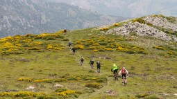 LA TRANS ARDECHE