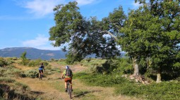 L'ARDECHE MERIDIONALE