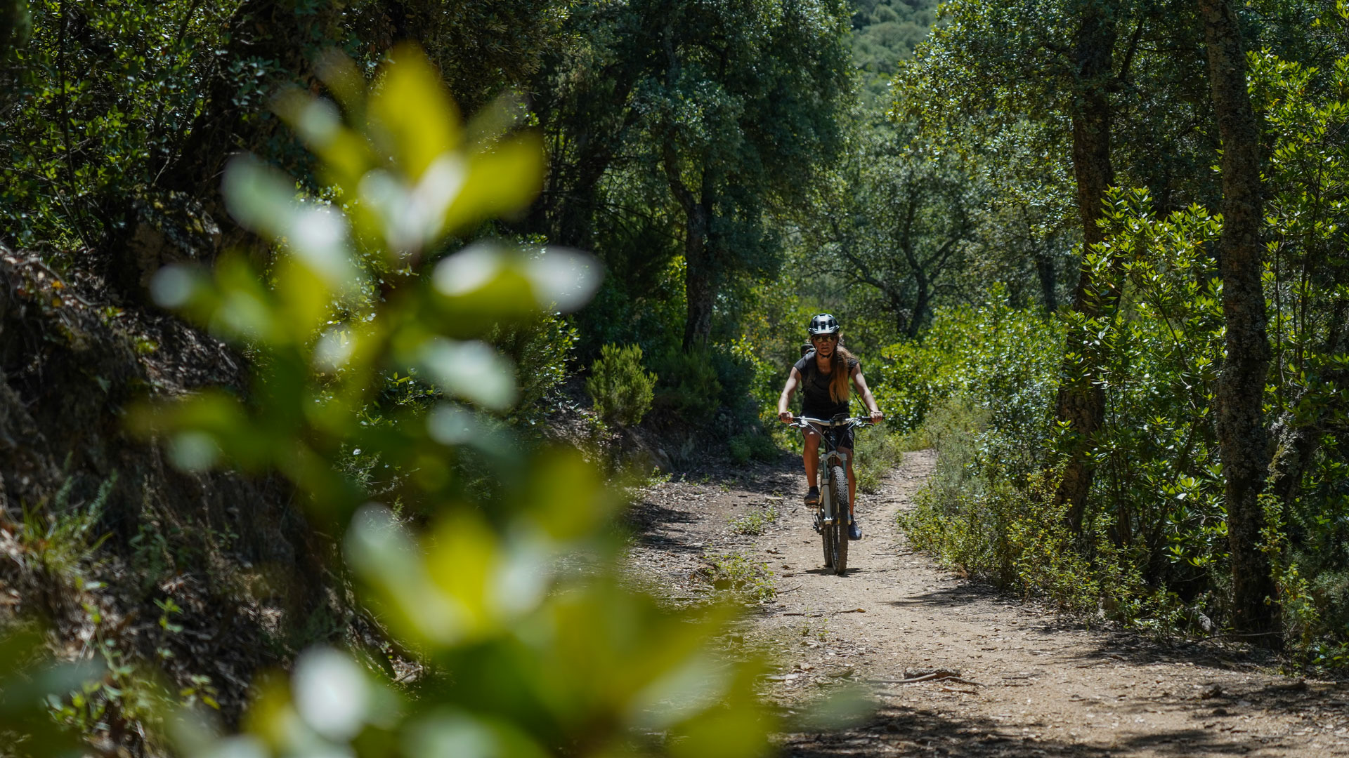 Vttiste sur un single-tracks en balcon sur la mer