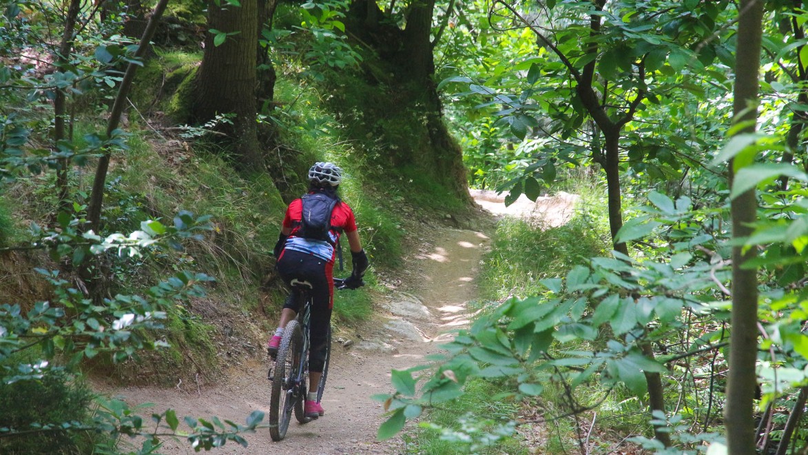 vététiste de dos sur un sentier en forêt à proximité de Finale Ligurie