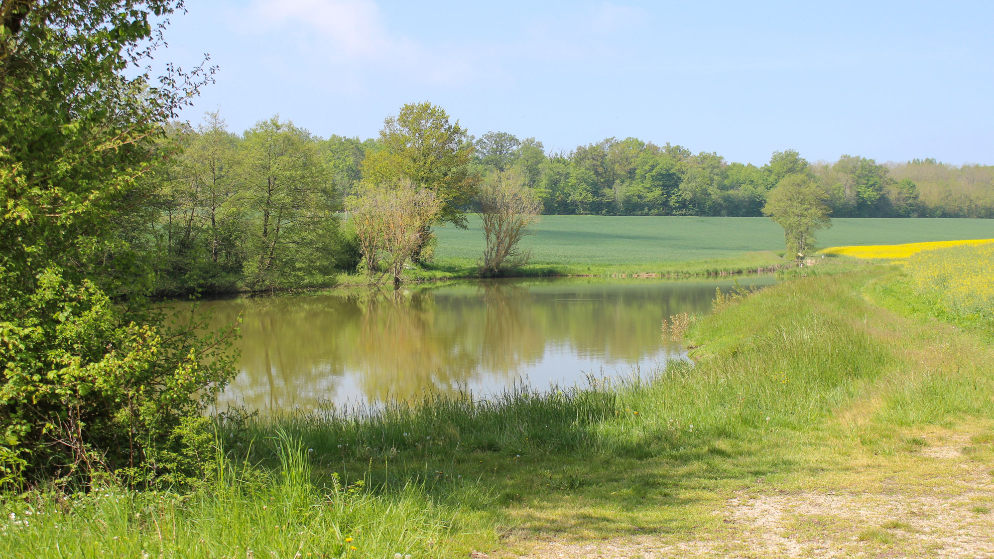 petit lac dans la campagne proche d'Annecy