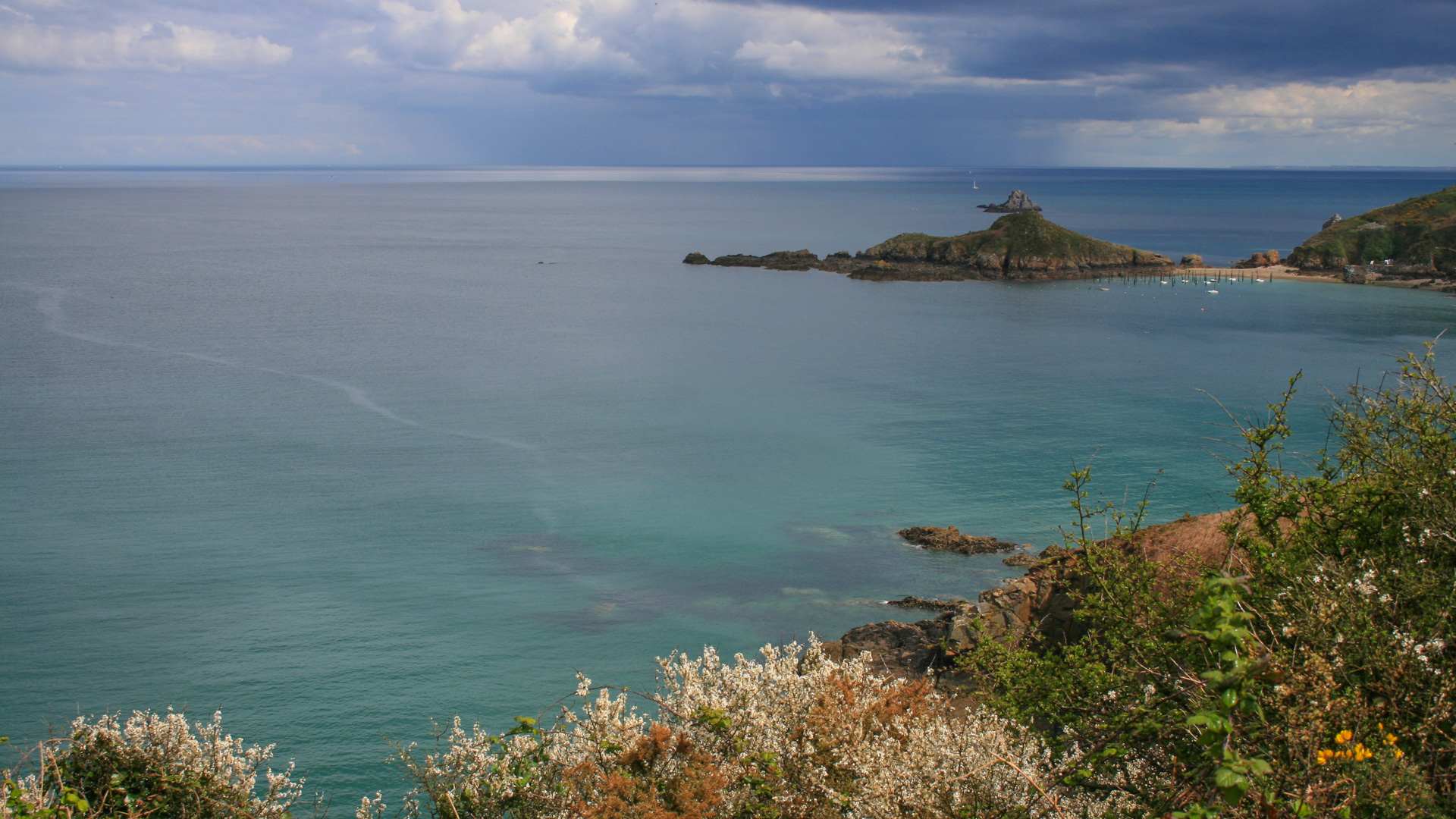 photo prise sur le chemin des Douaniers, vers les falaises de Plouha